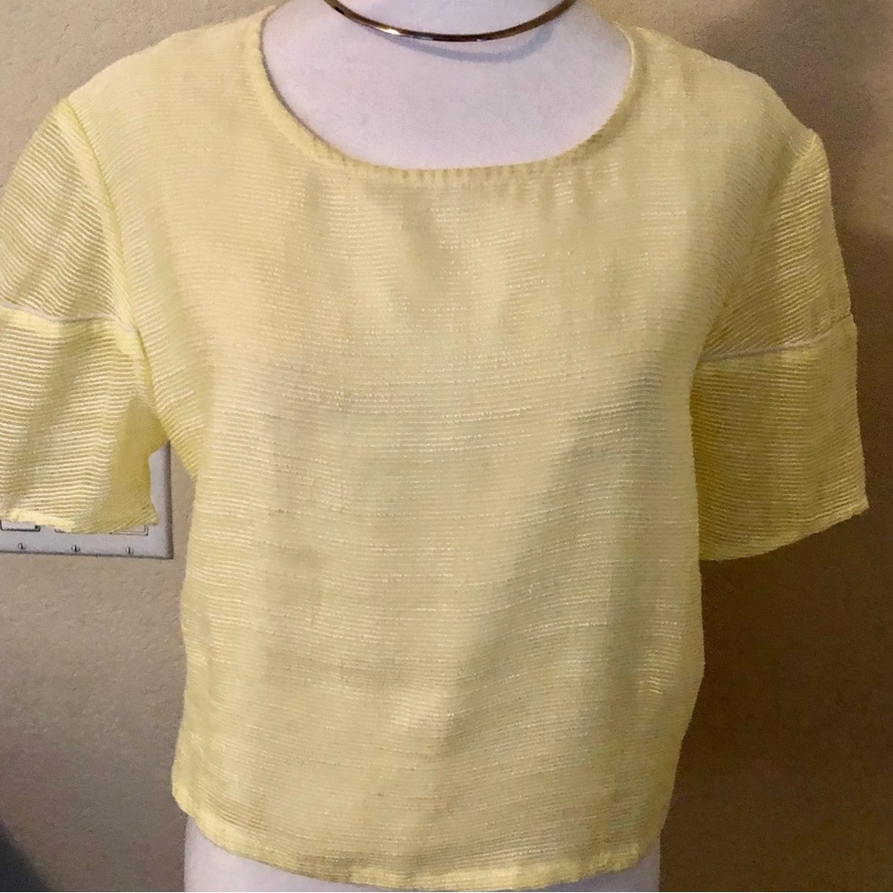 Minette Brand Yellow Textured Sheer Short Sleeve Top